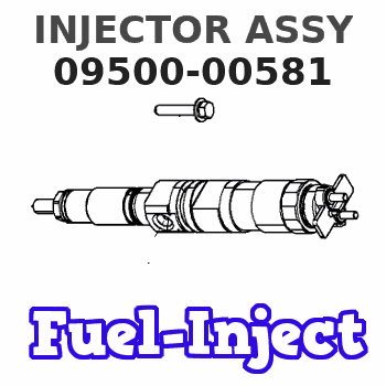 09500-00581 INJECTOR ASSY 
