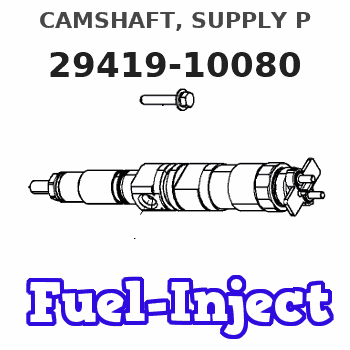 29419-10080 CAMSHAFT, SUPPLY P 