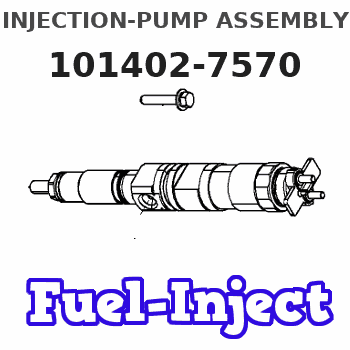 101402-7570 INJECTION-PUMP ASSEMBLY 
