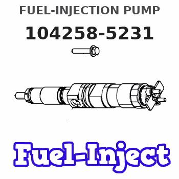 104258-5231 FUEL-INJECTION PUMP 