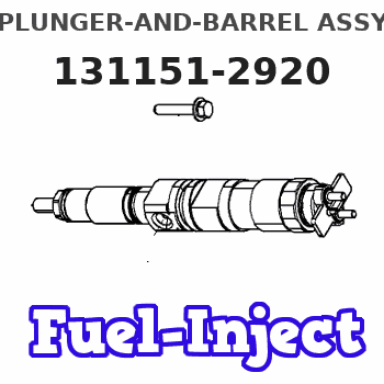 131151-2920 PLUNGER-AND-BARREL ASSY 