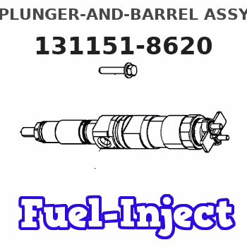 131151-8620 PLUNGER-AND-BARREL ASSY 
