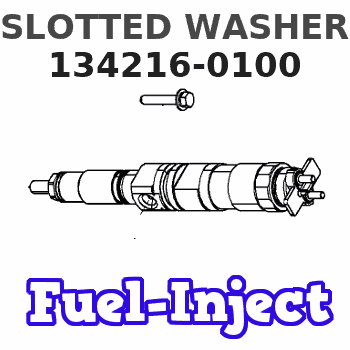 134216-0100 SLOTTED WASHER 