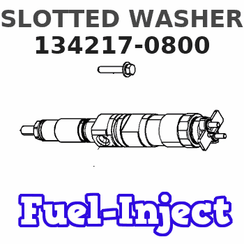 134217-0800 SLOTTED WASHER 