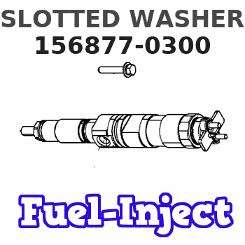 156877-0300 SLOTTED WASHER 