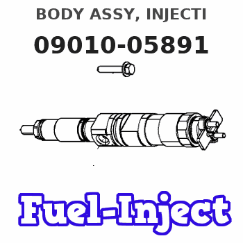 09010-05891 BODY ASSY, INJECTI 