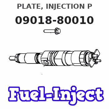 09018-80010 PLATE, INJECTION P 