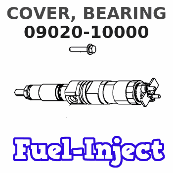 09020-10000 COVER, BEARING 