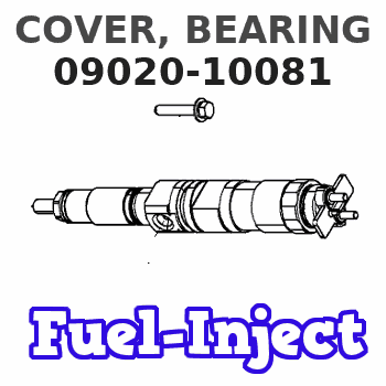 09020-10081 COVER, BEARING 