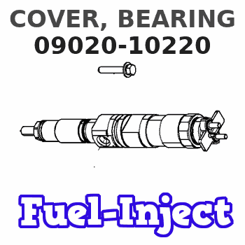 09020-10220 COVER, BEARING 