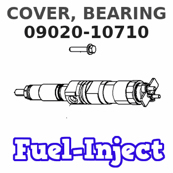 09020-10710 COVER, BEARING 