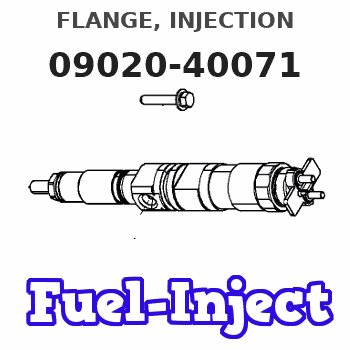 09020-40071 FLANGE, INJECTION 