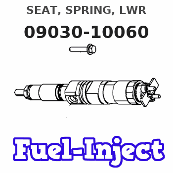 09030-10060 SEAT, SPRING, LWR 