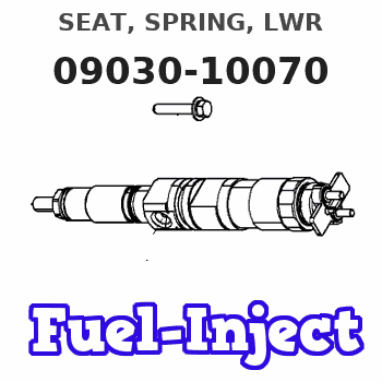09030-10070 SEAT, SPRING, LWR 