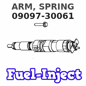09097-30061 ARM, SPRING 