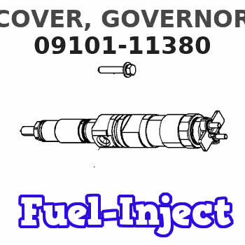 09101-11380 COVER, GOVERNOR 