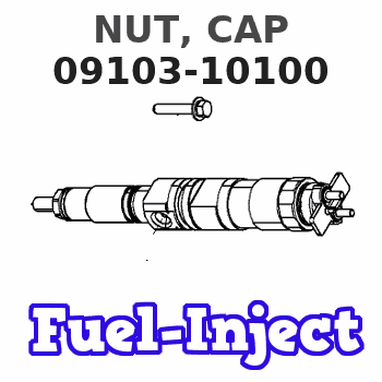 09103-10100 NUT, CAP 