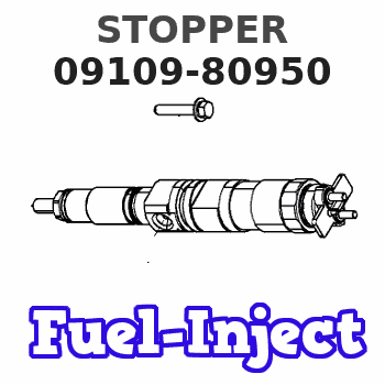 09109-80950 STOPPER 