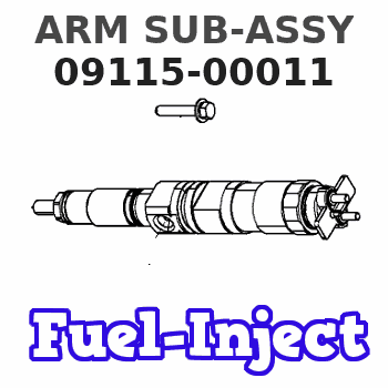 09115-00011 ARM SUB-ASSY 