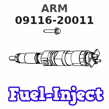 09116-20011 ARM 