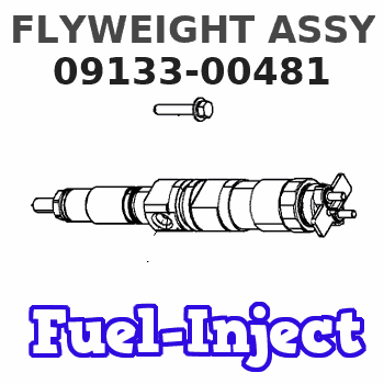 09133-00481 FLYWEIGHT ASSY 