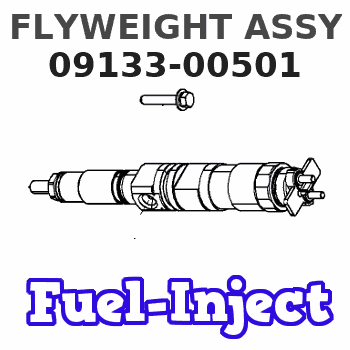 09133-00501 FLYWEIGHT ASSY 