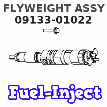 09133-01022 FLYWEIGHT ASSY 