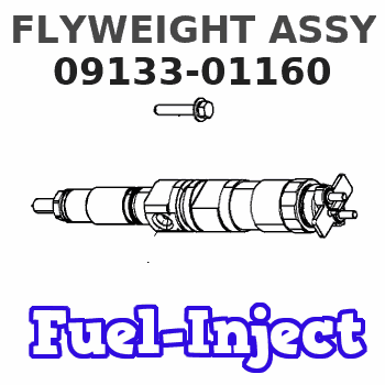 09133-01160 FLYWEIGHT ASSY 