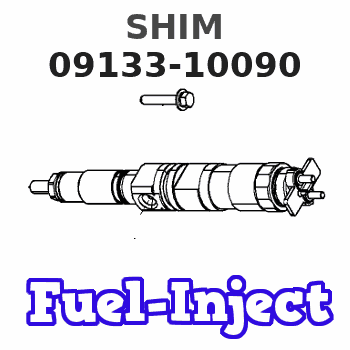 09133-10090 SHIM 