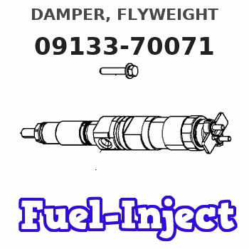 09133-70071 DAMPER, FLYWEIGHT 