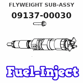 09137-00030 FLYWEIGHT SUB-ASSY 