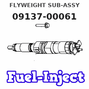 09137-00061 FLYWEIGHT SUB-ASSY 