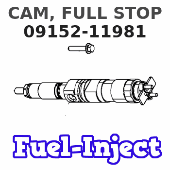 09152-11981 CAM, FULL STOP 