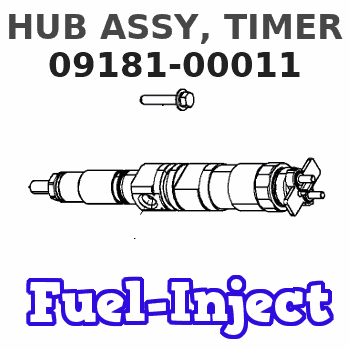 09181-00011 HUB ASSY, TIMER 