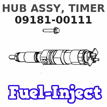 09181-00111 HUB ASSY, TIMER 