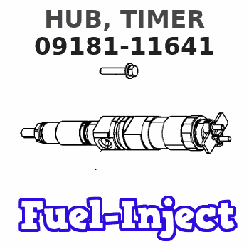 09181-11641 HUB, TIMER 