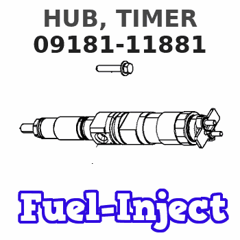 09181-11881 HUB, TIMER 