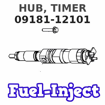 09181-12101 HUB, TIMER 