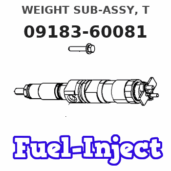 09183-60081 WEIGHT SUB-ASSY, T 