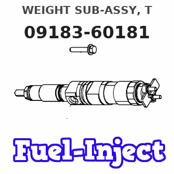09183-60181 WEIGHT SUB-ASSY, T 