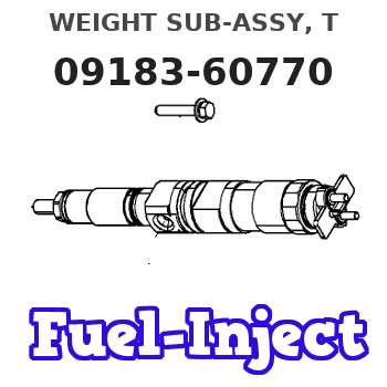 09183-60770 WEIGHT SUB-ASSY, T 