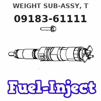 09183-61111 WEIGHT SUB-ASSY, T 