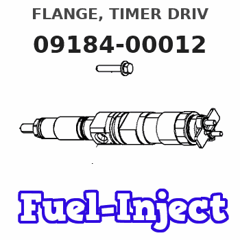 09184-00012 FLANGE, TIMER DRIV 