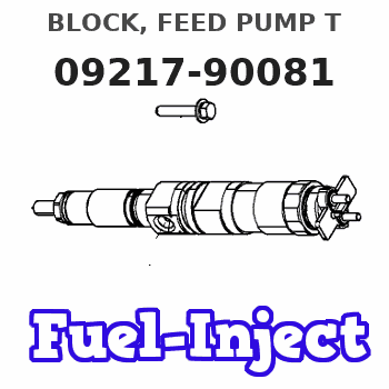 09217-90081 BLOCK, FEED PUMP T 