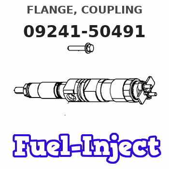 09241-50491 FLANGE, COUPLING 