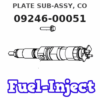 09246-00051 PLATE SUB-ASSY, CO 