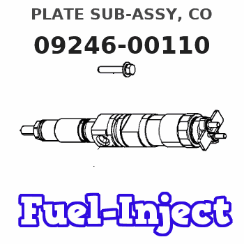 09246-00110 PLATE SUB-ASSY, CO 