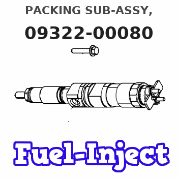09322-00080 PACKING SUB-ASSY, 