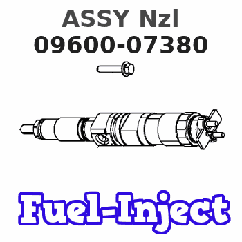 09600-07380 ASSY Nzl 