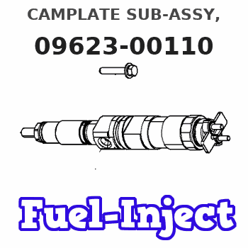 09623-00110 CAMPLATE SUB-ASSY, 